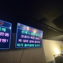 인동낚시터 | [경북 구미 인동] 실내낚시터 후기 :: 물만난고기