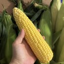 (주)맘스팜 이미지