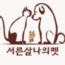 서른살나의펫 이미지