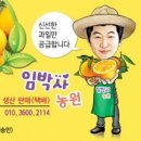 하르방 농원 이미지