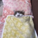 지각생