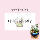 이끼다움