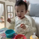 비인에이블 | 분당차병원 진주종 수술 예약,검사, +기관지염,축농증까지 겹치다. 네블라이져 메쉬넵2구매 ,입원전...