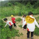 석성숲유치원 이미지