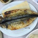 세진여행주 - 창원시 진해구 충장로 356 | 세진여행주