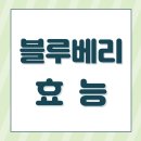 블루베리 효능 부작용