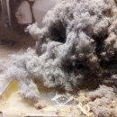 리베라세탁 이미지