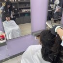 마이린 헤어