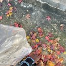 사림동138 이미지