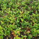 양촌목장 이미지