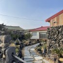 하귤스테이 이미지