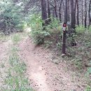 준희 태양광발전소 이미지