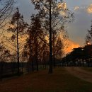 하늘공원 이미지