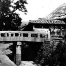 신한은행 횡단보도 앞 이미지