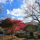 성주산자연휴양림 | 만추의 풍경 성주산자연휴양림 ^^.