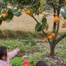 명석어린이집 이미지