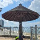 웅천친수공원 이미지