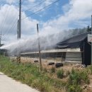 박진규농장 이미지