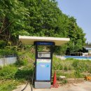 은행나무 주유소 이미지