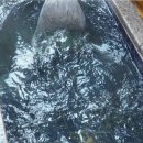 군산 더 해수 온천 이미지