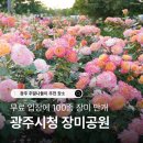 와동 111-4~와동 108-6 주변 | 광주시청 장미공원 : 주말나들이 아이랑 가볼만한곳