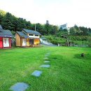 치유의 숲 야영장 이미지