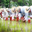 유수지공원 앞 이미지