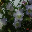 송아지농장 이미지