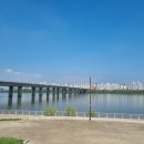 서림 행정사사무소 이미지