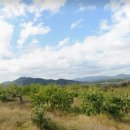 금오2농장 이미지