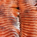 마달피가든 이미지