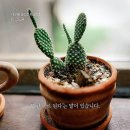 좋은생각