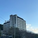 하동편백나무민박 | 경남 하동 | 하동 여행(쌍계사 차나무 시배지(법향다원), 쌍계사, 매암제다원)