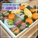 새봄청과 - 사천시 동금2길 8 | 새봄청과