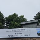 트리탑