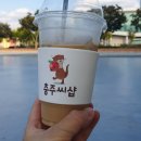 충주시농협쌀조합공동사업법인 | 충주씨샵 탄금공원점 리뷰｜충주시 로컬푸드 직매장 완벽 분석