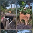 표선동물병원 이미지