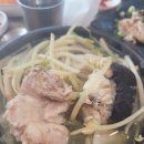 마라도복어 이미지