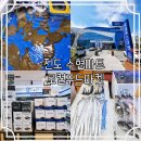 진도군수협로컬푸드센터 | 진도 수협마트, 로컬푸드 마켓, 싱싱한 활어회 떠주는 곳