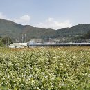 장성병원 중앙 이미지