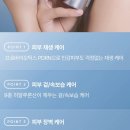 세이니