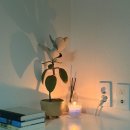 공간 레지던스 이미지