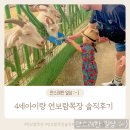이원선목장 | 김포 4살아이랑 가볼만한곳 연보람목장 솔직후기