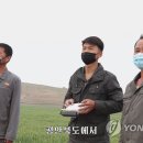 조종농장 연합뉴스