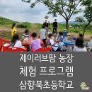삼향북초등학교 이미지