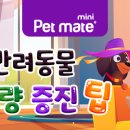 메타 동물의료센터 이미지