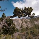 Playa(플라야) 이미지