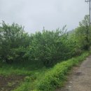 상이리 계곡 이미지