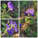 천보산주유소 | 한북정맥 6구간( 큰넋고개~천보산 ) 대중교통 이용