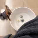 [홍대 기념일 데이트] 힐링과 마사지를 한 번에 받는 스파더원